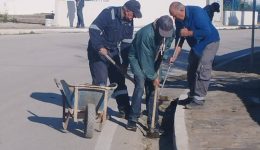 katharismos-ke-efprepismos-tis-zefirias