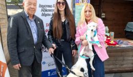 kathigitis-&Alpha;lexandros-papachatzis-i-adespoti