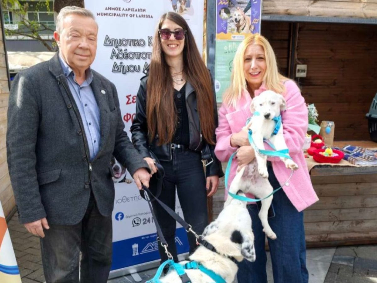 Καθηγητής Αλέξανδρος Παπαχατζής: Η “αδέσποτη” συμπεριφορά μας απέναντι στα αδέσποτα ζωάκια