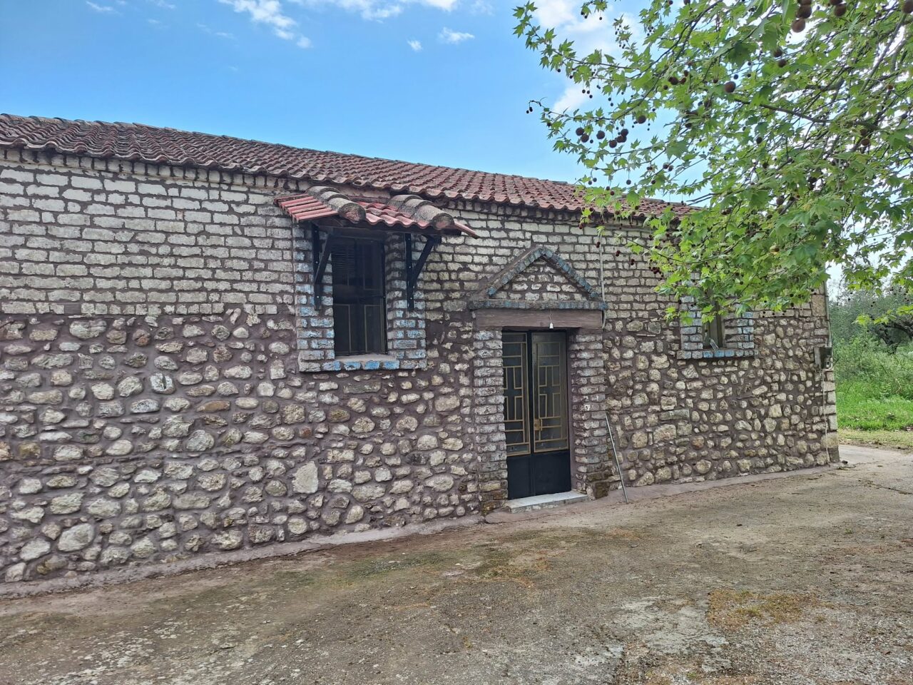kenourgio-&Alpha;griniou-&Alpha;naneomeni-opsi-gia