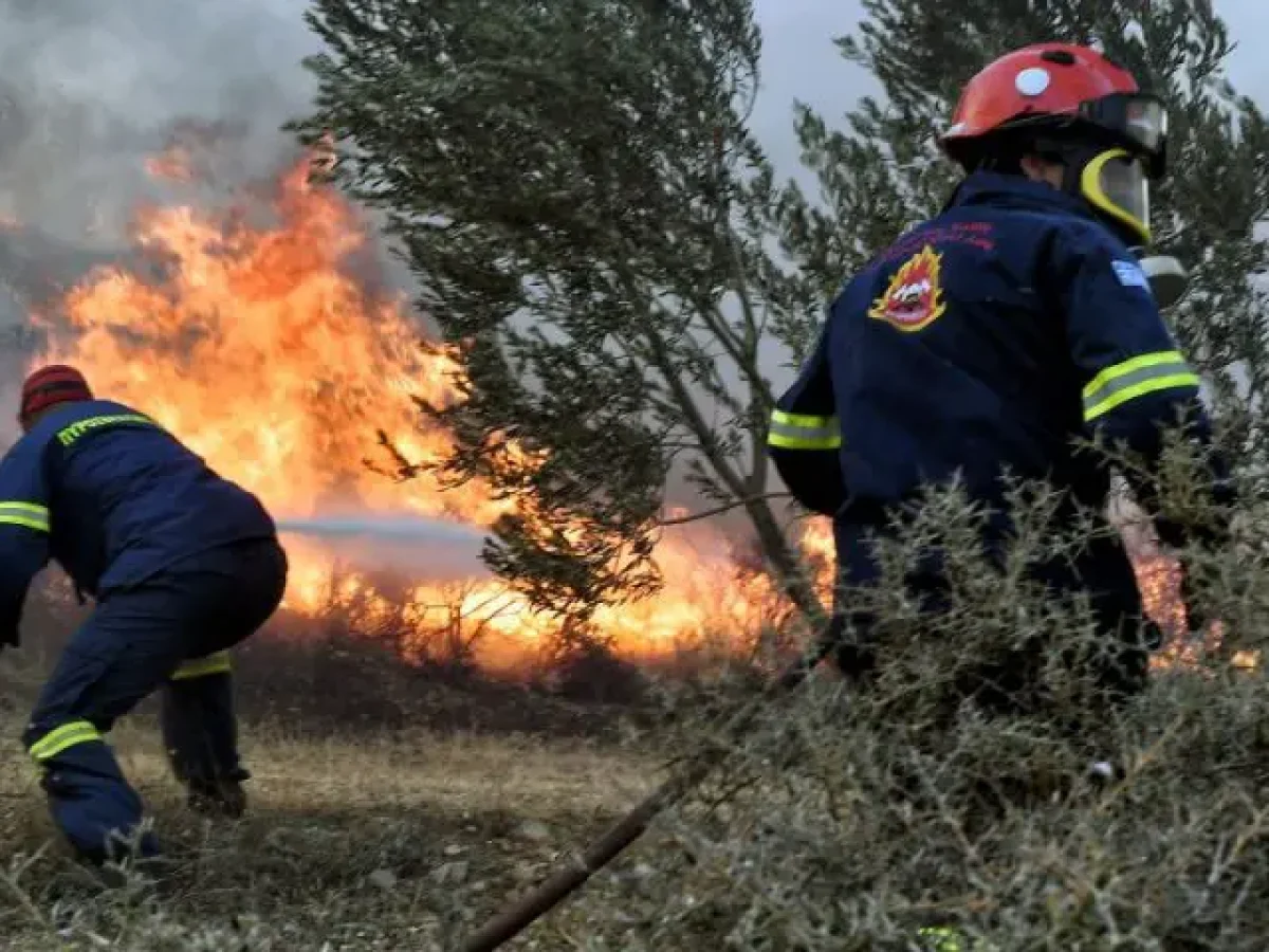Κέρκυρα: Φωτιά σε δέντρο στην περιοχή Αγ. Μάρκου – Άμεση κινητοποίηση της Πυροσβεστικής