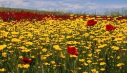 keros-efcharista-nea-gia-to