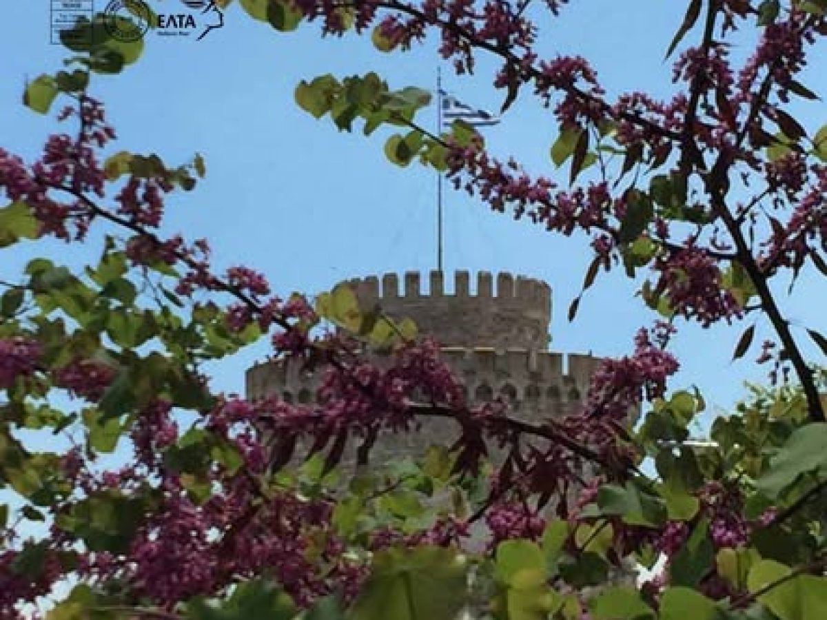 Κυκλοφόρησε το 66ο τεύχος του «Παγχαλκιδικού Λόγου»