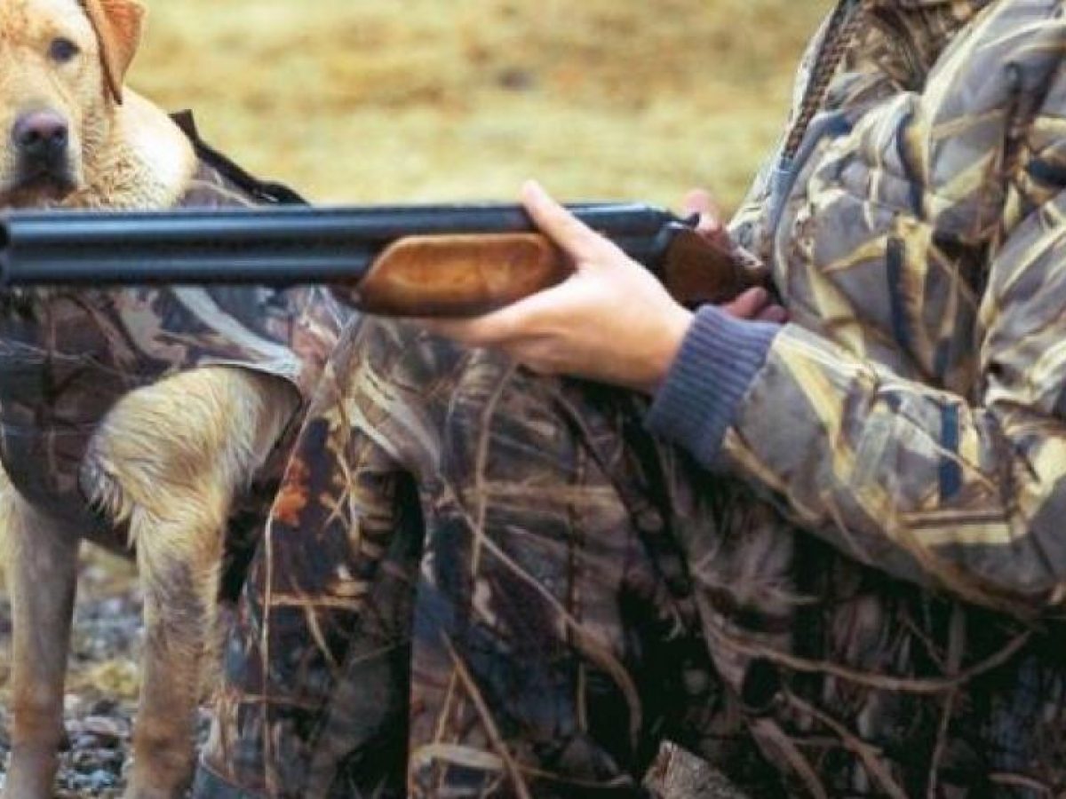 Κυνηγετικός σύλλογος Κεφάλου: Το νέο ΔΣ μετά τις πρόσφατες εκλογές με Πρόεδρο τον Λ. Διακογιάννη