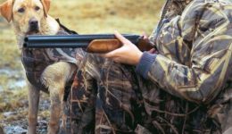 kinigetikos-sillogos-kefalou-to-neo