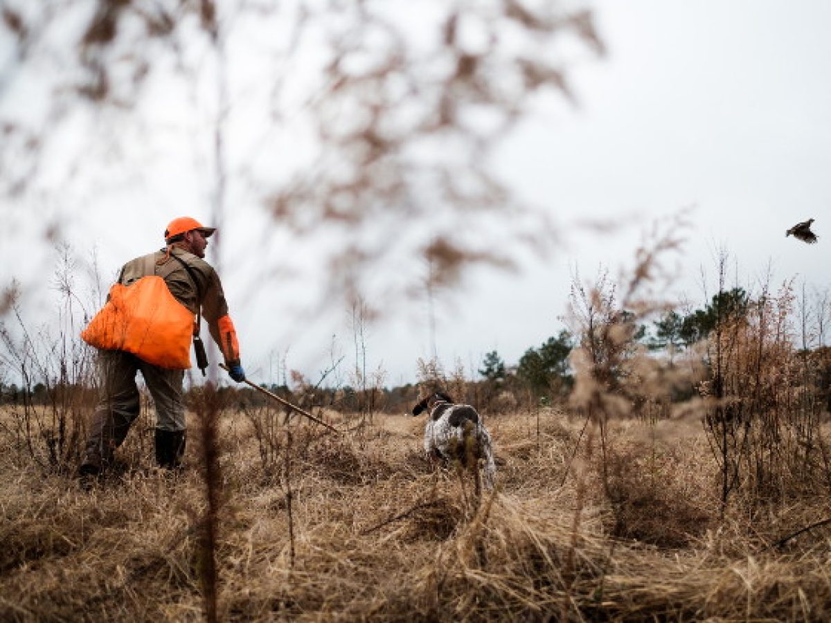 Κυνηγετικός Σύλλογος Αργοστολίου: Τακτική Γενική Συνέλευση στις 19 Απριλίου
