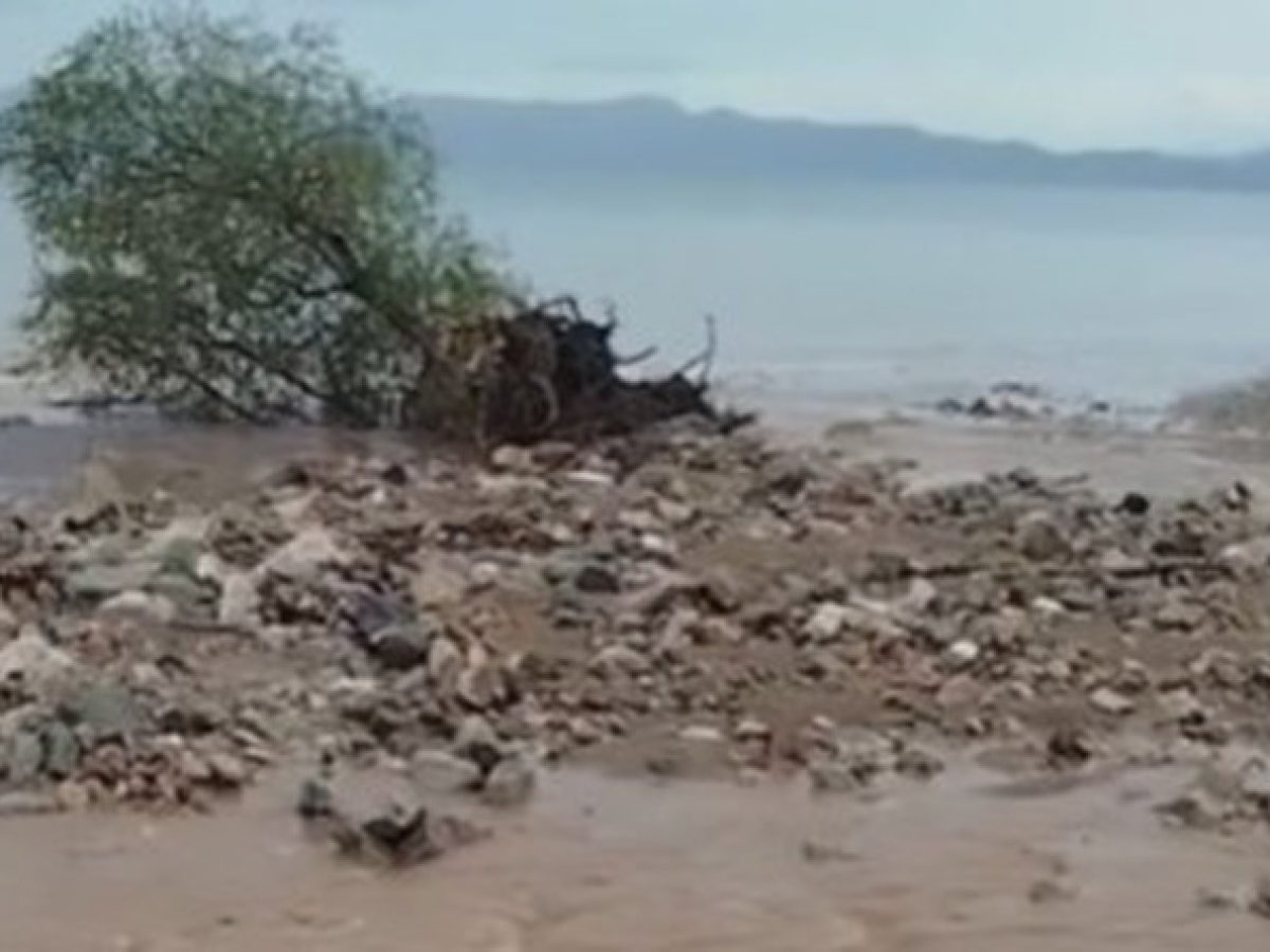 Κοινότητα Βαρνάβα: “Η πολιτική που αντιμετωπίζει ως κόστος τη προστασία των πολιτών έχει χρεοκοπήσει”