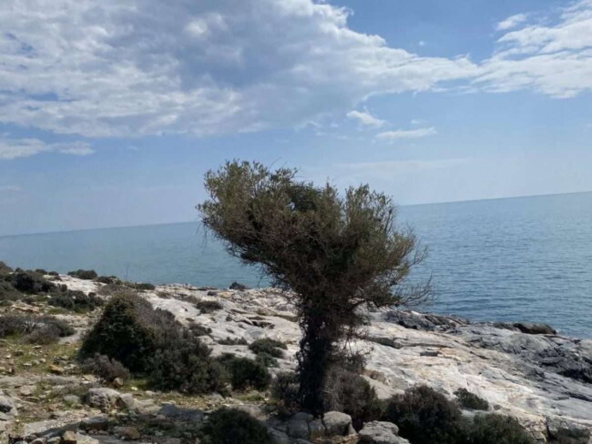 Κυριακάτικη εξόρμηση για τα μέλη του ΕΟΣΚομοτηνής στην Μαρμαρίτσα Μαρώνειας και στην κορυφή του Αγίου Γεωργίου (φωτος)