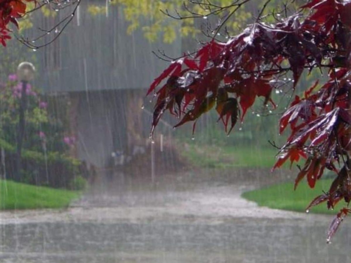 Κυριακή των Βαΐων με βροχές στην Εύβοια: Η πρόγνωση για το νησί