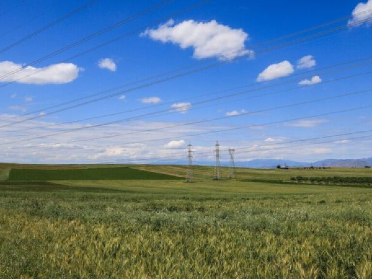 Κλειστά στους στάβλους παραμένουν τα αιγοπρόβατα