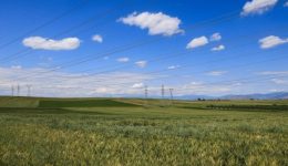 klista-stous-stavlous-paramenoun-ta