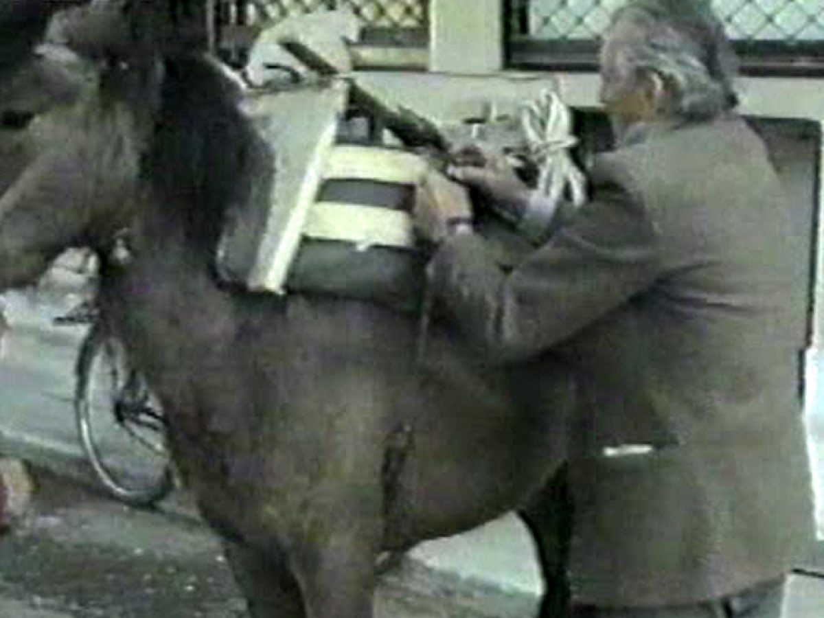 Κώστας Ζέρης: Ο τελευταίος σαγματοποιός στο Θέρμο