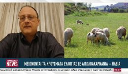 krisimes-i-epomenes-imeres-gia