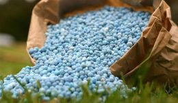 kriti-sta-oria-tous-i