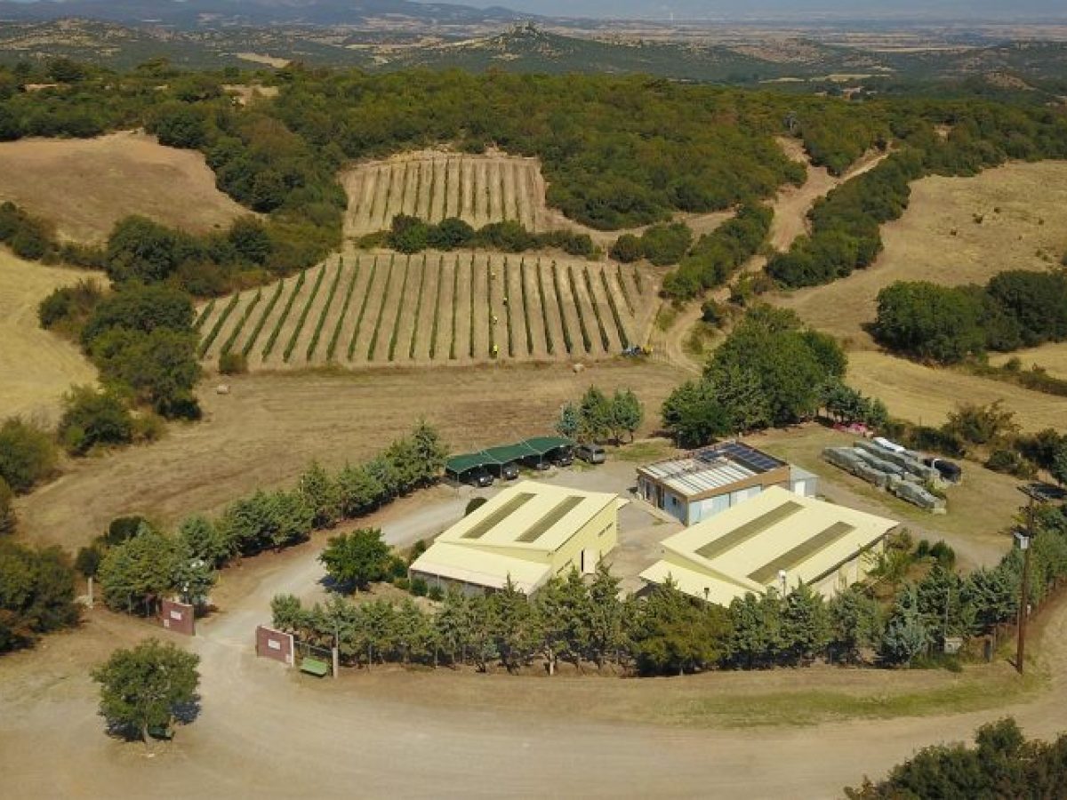 Λ. Μπακούρας: Ο χρυσός για την χώρα μας και τη Θράκη σημαίνει θωράκιση.