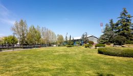 larisa-2026-ine-telika-i