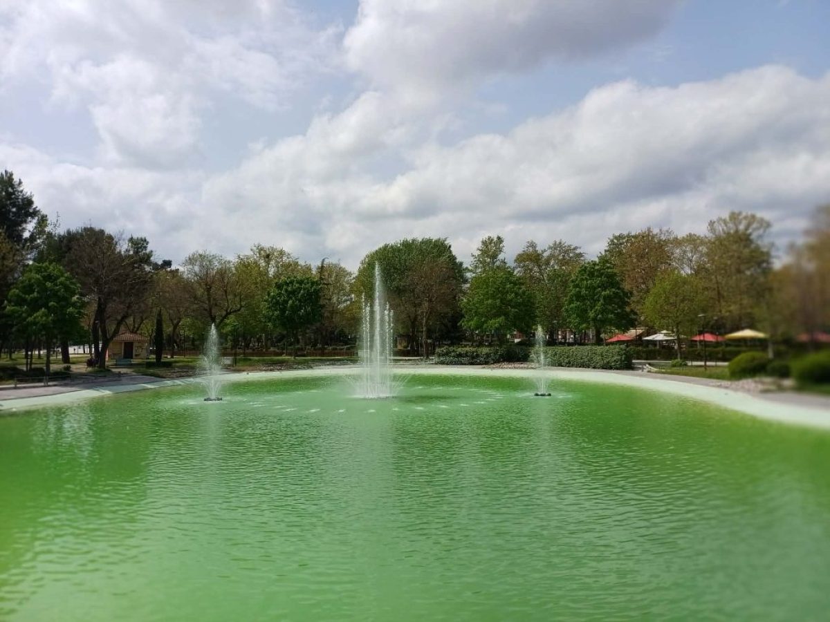 Λάρισα: Υπέροχη η λίμνη στο πάρκο Αλκαζαρ μετά τις εργασίες καθαρισμού της – ΦΩΤΟ