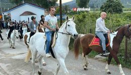 lefkakia-&Alpha;rgolidas-me-aloga-i