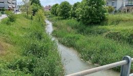 litheos-i-epichirisi-katharismos-theli-1