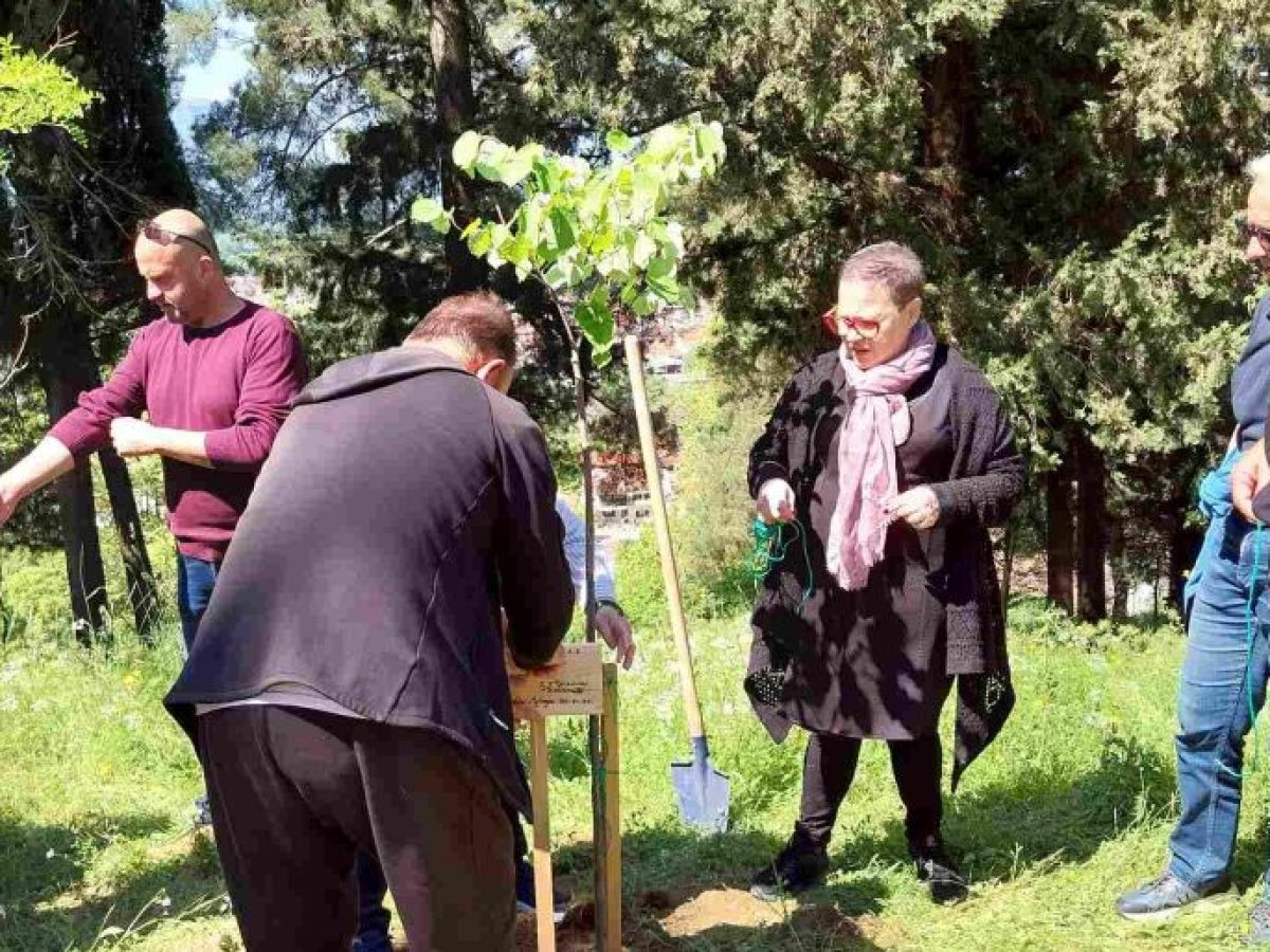 Με δενδροφύτευση η νέα συνεργασία Δήμου Τρικκαίων – Ομοσπονδίας Σαρακατσαναίων