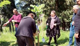 me-dendrofitefsi-i-nea-sinergasia-1