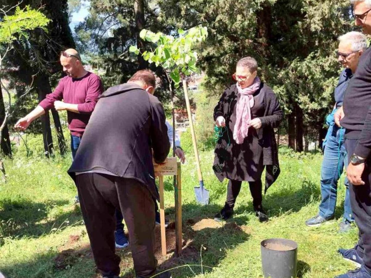 Με δενδροφύτευση η νέα συνεργασία Δήμου Τρικκαίων – Ομοσπονδίας Σαρακατσαναίων