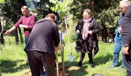 me-dendrofitefsi-i-nea-sinergasia