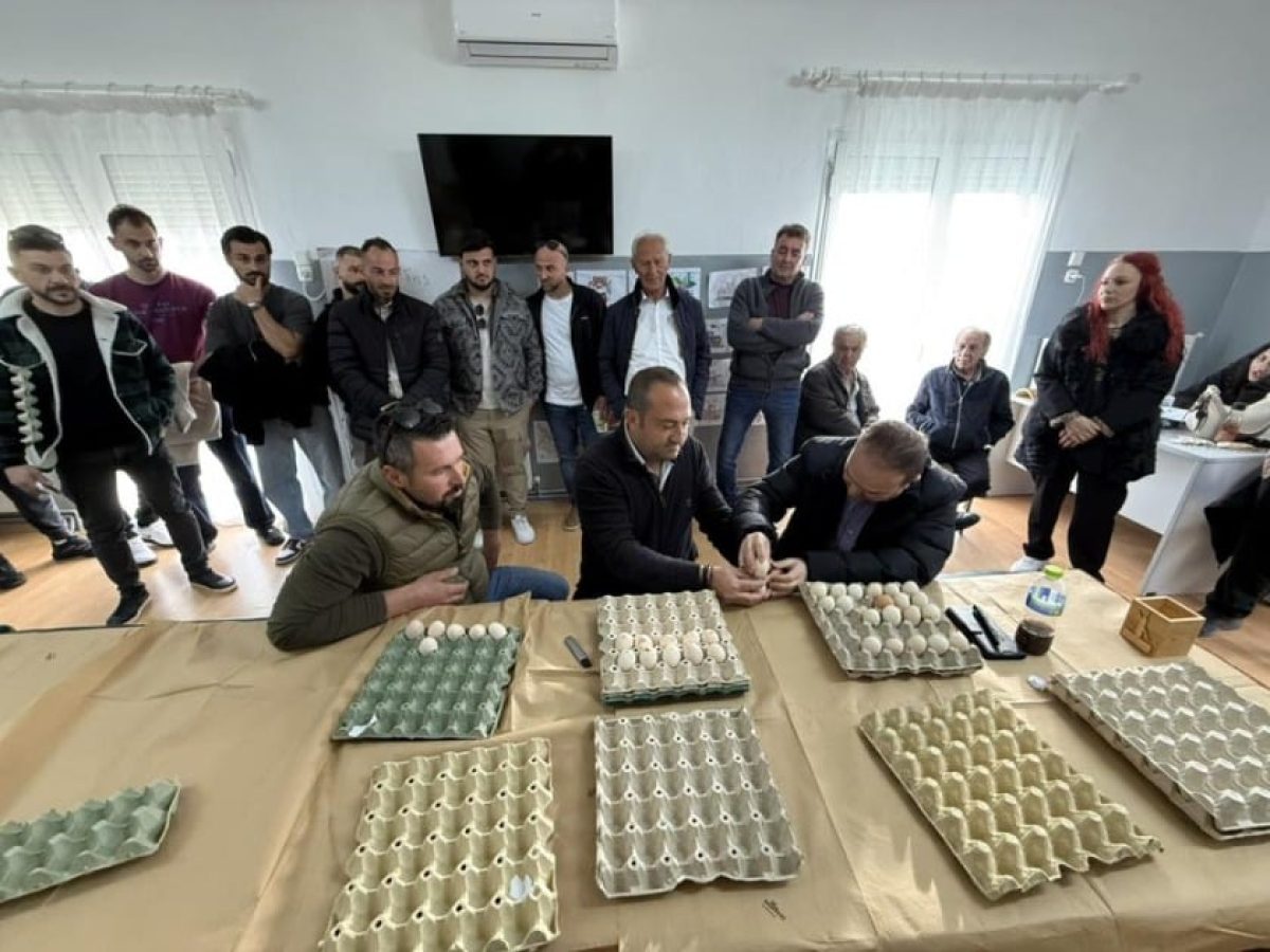 Με επιτυχία οι «Αυγομαχίες 2026» από τον Ποντιακό Σύλλογο «Αμάσεια» στο Μανιάκι