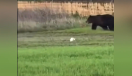 megali-anisichia-apo-tin-emfanisi