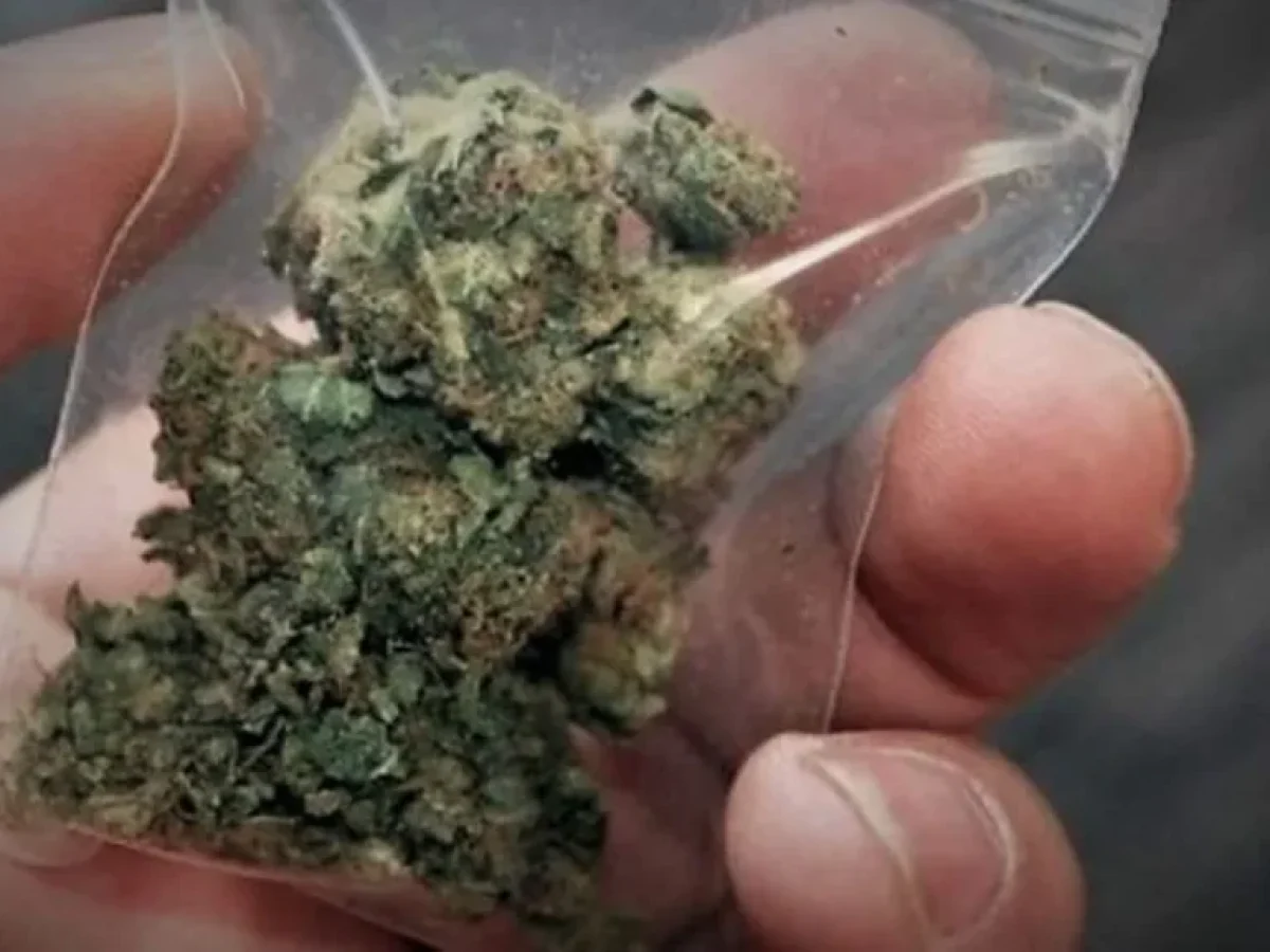 Μεσολόγγι: Σύλληψη άνδρα με κάνναβη, εντοπίστηκε και δενδρύλλιο στην οικία του