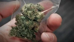 mesolongi-sillipsi-andra-me-kannavi