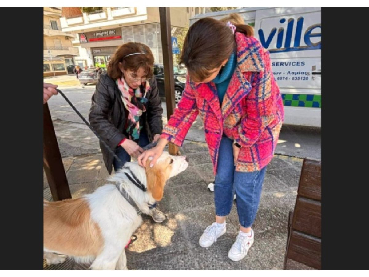 Μια ξεχωριστή εκδήλωση για τα αδέσποτα στην Πεντέλη