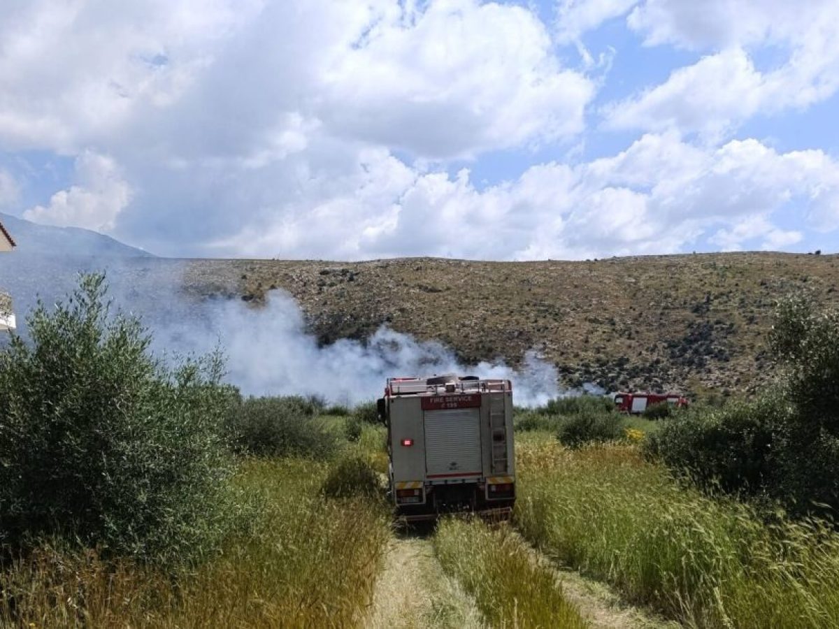Μικρής έκτασης φωτιά στο Σαράντι