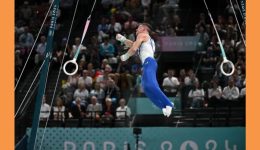 monadikos-petrounias-chriso-metallio-gia