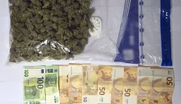 nafpaktos-chiropedes-se-dio-allodapous