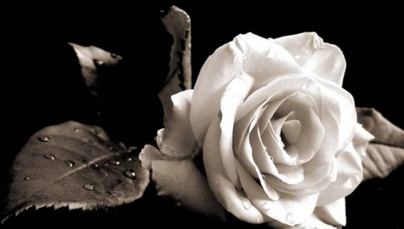 naxos-efcharistirio-tis-ikogenias-tis