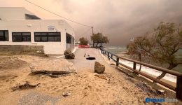 naxos-zimies-ston-dromo-&Alpha;giou