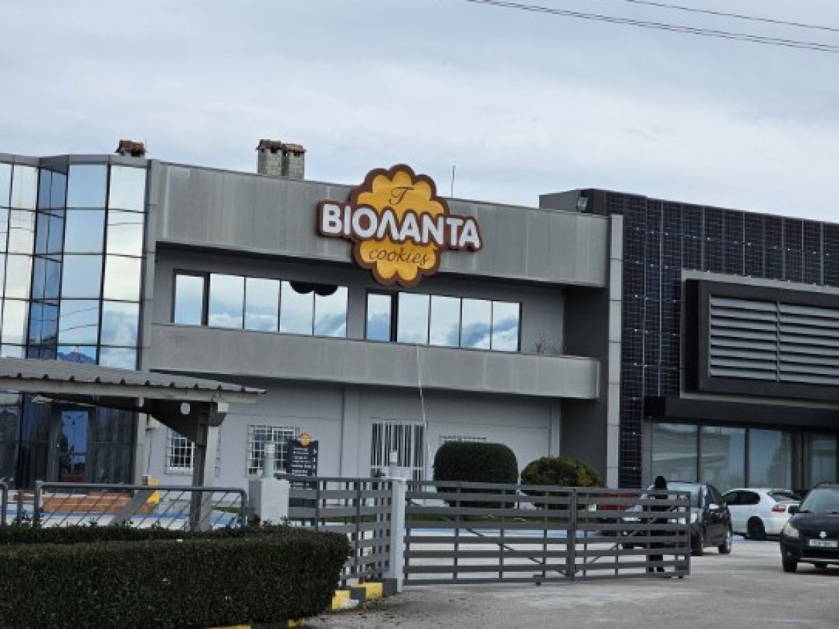 Νέα απολογία Τζιωρτζιώτη στην Ανακρίτρια. Δηλώσεις του δικηγόρου του (video)