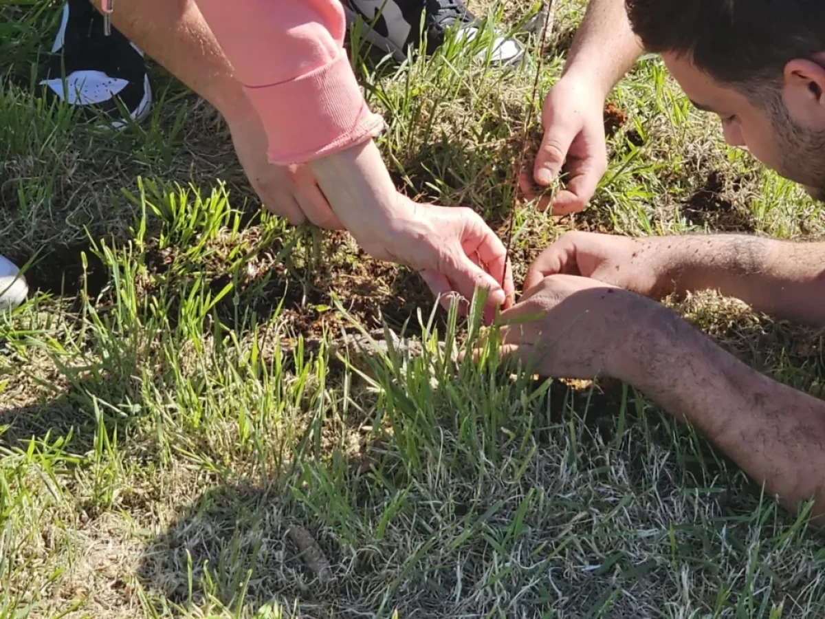 Νέα Καλλικράτεια: «Ρίζες» ελπίδας και πρασίνου από μικρούς και μεγάλους εθελοντές