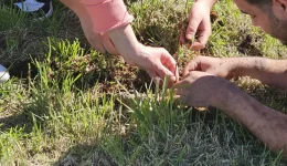 nea-kallikratia-rizes-elpidas-ke