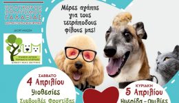 nea-smirni-diimero-Pet-Day-1