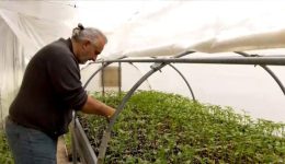 nekra-provata-entopistikan-stin-kozani