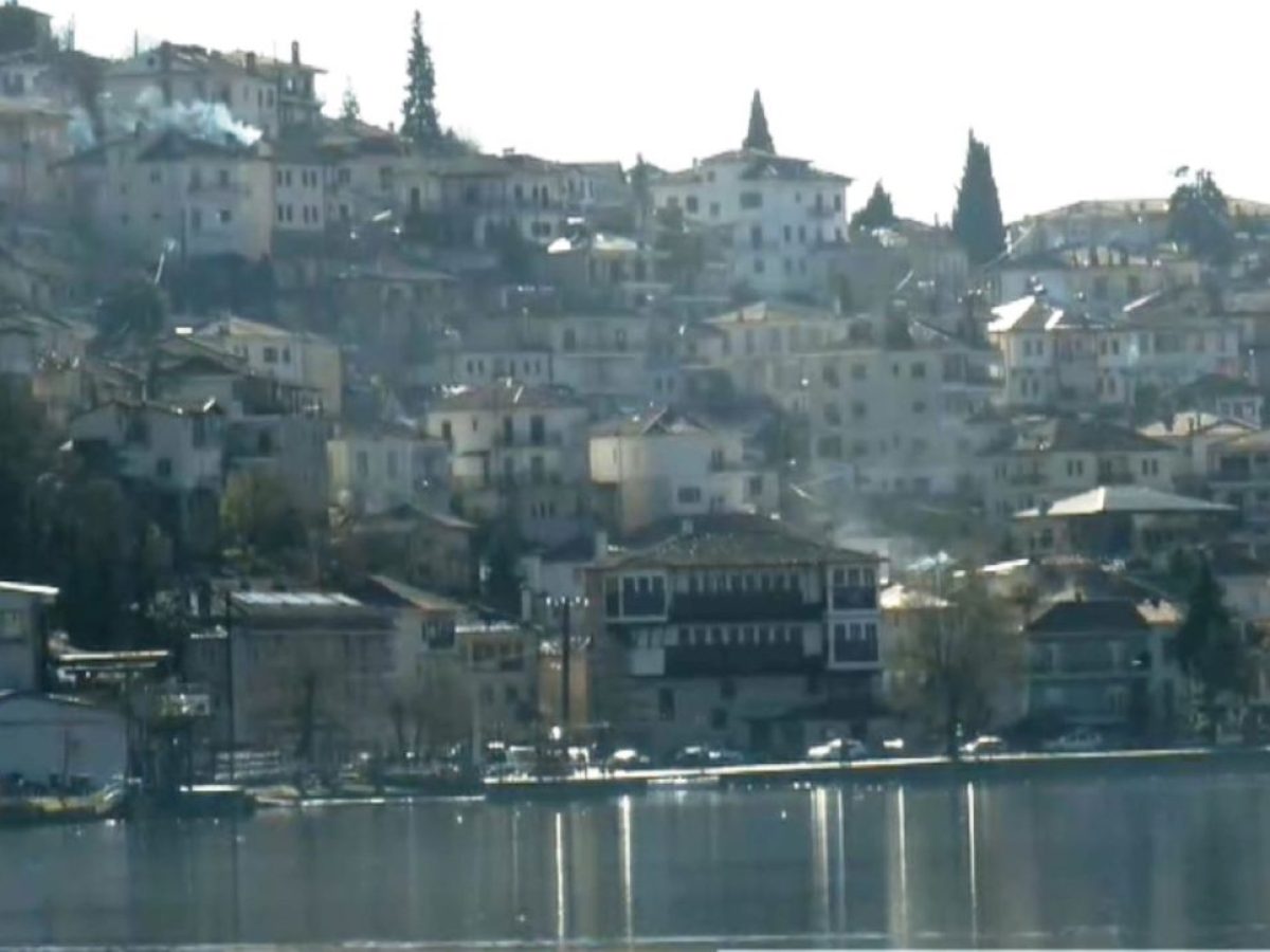 Νεκρός κύκνος στην Καστοριά από την γρίπη των πτηνών  