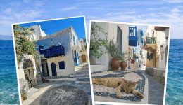 neos-anerchomenos-proorismos-gia-tous-1