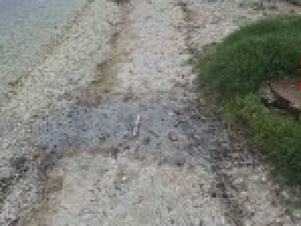 Νυδρί: Καταγγελίες για δυσοσμία και υπερχείλιση φρεατίων – Λύματα καταλήγουν στη θάλασσα