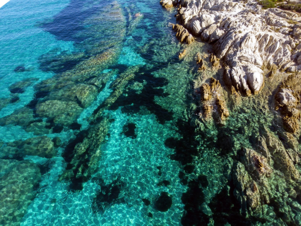 Νότιες Κυκλάδες: Εγκρίθηκαν οι μελέτες για το Εθνικό Θαλάσσιο Πάρκο