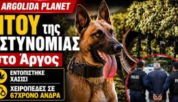 ntou-tis-&Alpha;stinomias-se-spiti