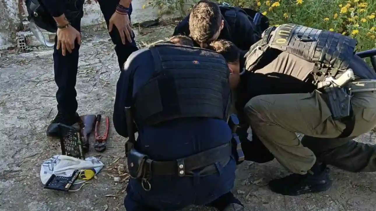 ntou-tis-el.&Alpha;s.-sta-neoktista