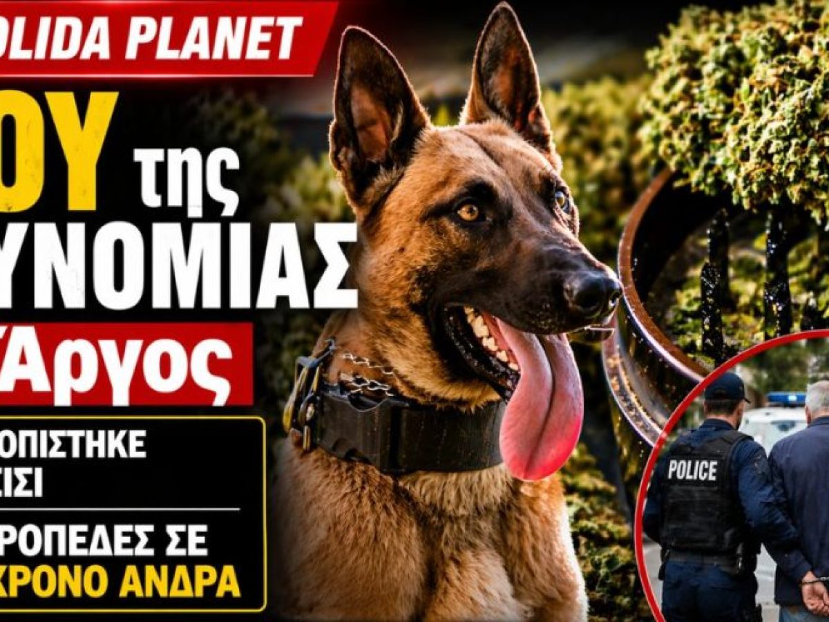 Ντου της Αστυνομίας σε σπίτι στο Άργος… Ο σκύλος μύρισε χασίσι!