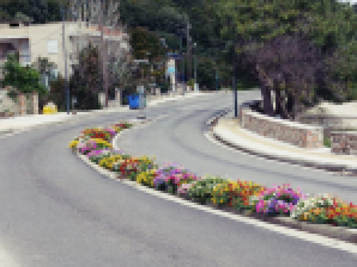 Ο Δήμος Λευκάδας έδωσε χρώμα στην διαχωριστική νησίδα στην περιοχή «Λιμνί» της Νικιάνας